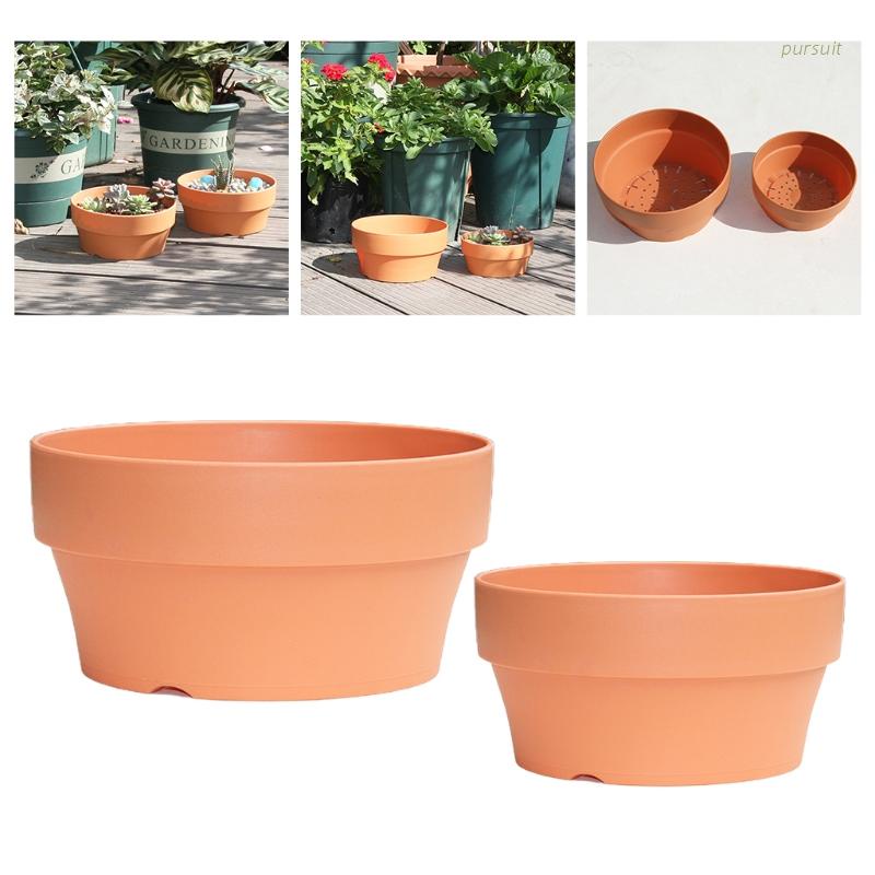 Chậu đất nung giả trồng cây mọng nước / cây xương rồng