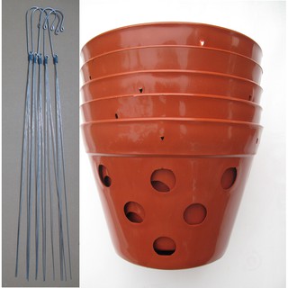 Bộ 5 chậu trồng phong lan bằng nhựa - tặng kèm 5 móc treo