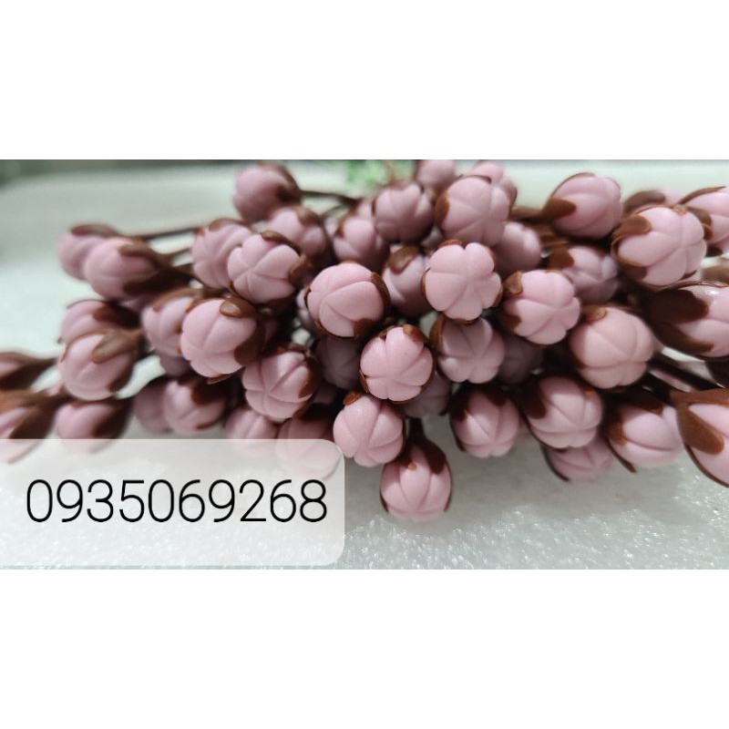 Nụ đào đất sét nhạt màu(100 sp)