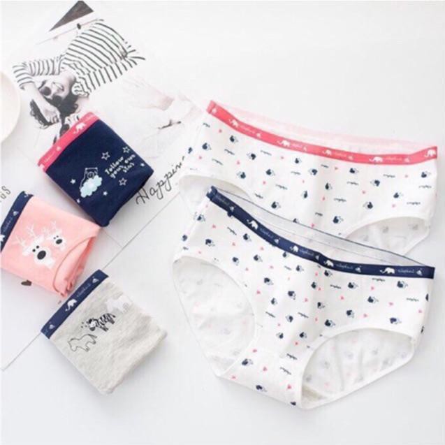 Túi 5 Chiếc Quần Lót Cotton Nữ Cute Cao Cấp