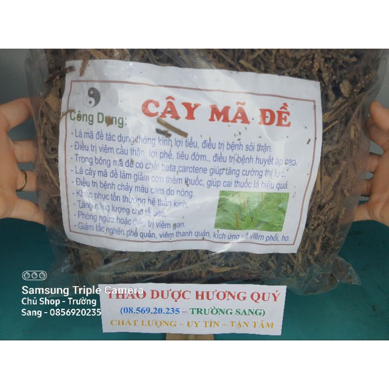 1Kg Cây Mã Đề Khô, Sạch, Mới, Loại 1