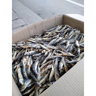 1kg cá nục (cá mu) luộc phơi khô Hà Tĩnh