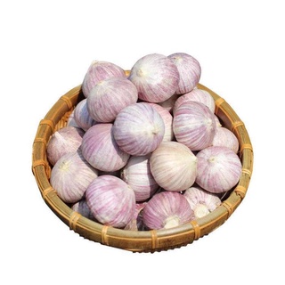 500gr củ tỏi cô đơn
