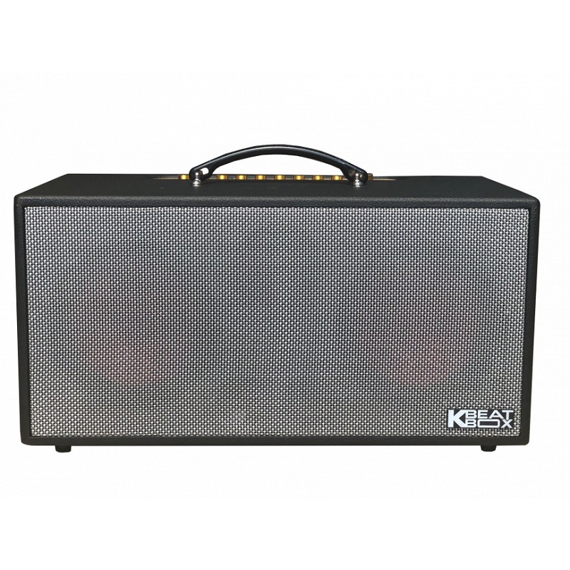 Dàn loa Karaoke di động Acnos CS450