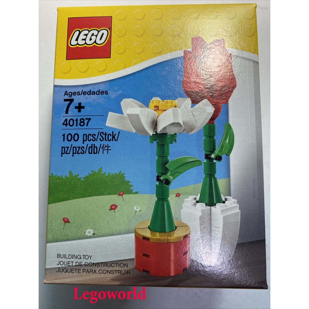 Lego 40187 - Trưng bày hoa