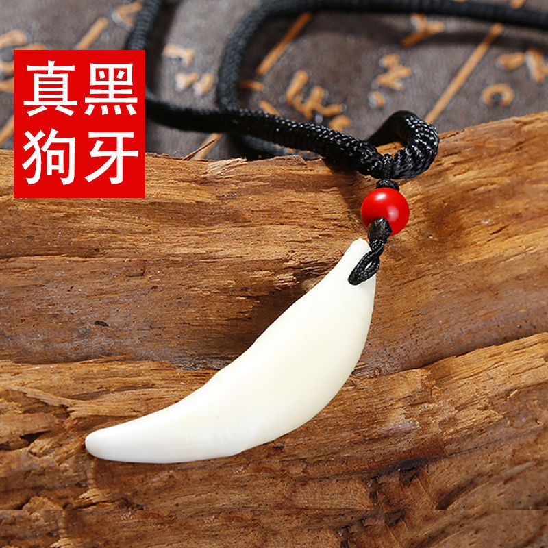 Dây chuyền nam mặt răng chó đen thật, xương đòn nữ, hình sói, trang sức cá nhân
