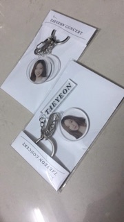 Goods kỉ niệm Taeyeon concert