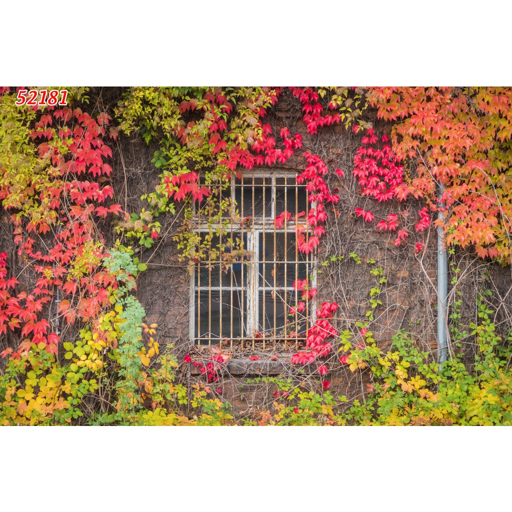 Tranh dán tường vải lụa 3D giành cho Trà chanh in theo kích thước yêu cầu – Không giới hạn kích thước