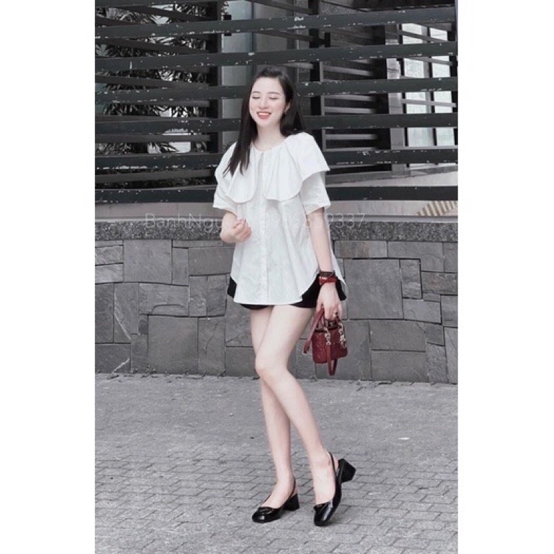 Bigsize sét bộ cổ sen 4 màu siêu xinh