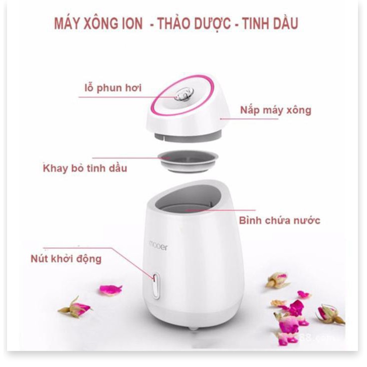 Máy xông 👉BH 1 THÁNG 👈  Máy xông hơi mặt hoa quả tươi tự động 2 trong 1 làm sạch mặt và khử độc tố, trị mụn 4074