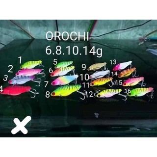 cá sắt cicada fhishen