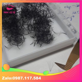 Mi fan xưởng 3d .4d.5d cc007,D007  (1000fan)