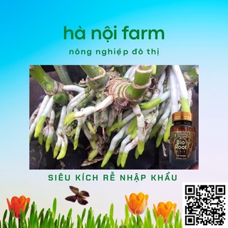 Bio Root MỸ kích rễ cực mạnh - 100ml
