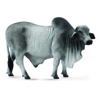 Mô hình động vật: Bò bố Brahman ( Chính hãng)