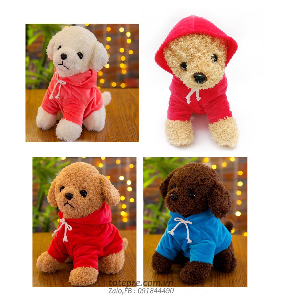 Chó Poople mặc áo hoodie