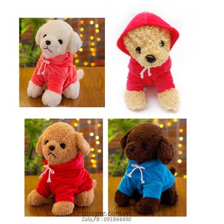 Chó Poople mặc áo hoodie