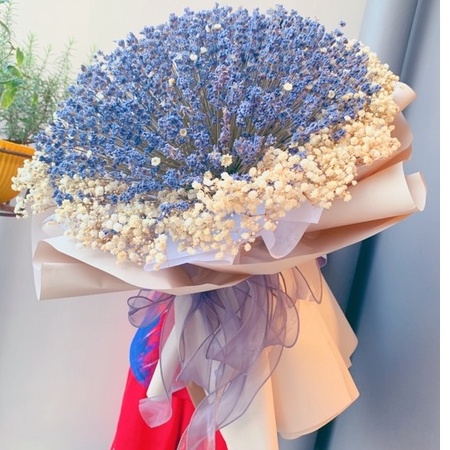 Quà tặng bó hoa Lavender tròn kết hợp snowy và baby trắng cực xinh xắn