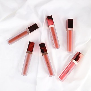 Son 24H PHYTO TREE TWENTY FOUR HOUR VELVET TINT