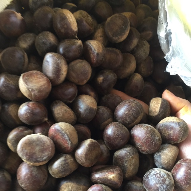 Hạt dẻ tươi trùng khánh