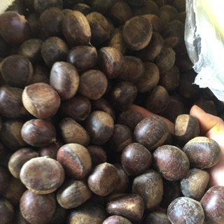 Hạt dẻ tươi trùng khánh