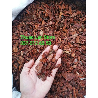 Vỏ Thông Dạng Hạt Ngô/Bắp 1kg