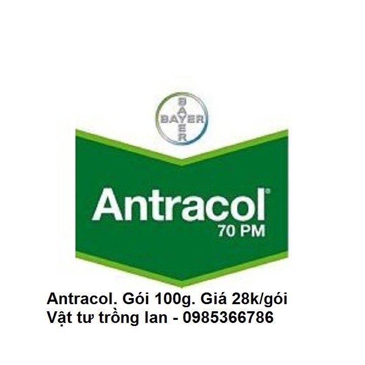 Antracol trị thối nhũn hoa lan và cây trồng thuốc đặc trị nấm nhập khẩu-  chuyên dụng.