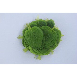 Lá mè Hàn Quốc 15k/30g  [CHỈ GIAO TẠI TP HCMINH ]