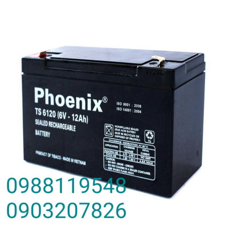 Ắc quy phoenix Ts6120