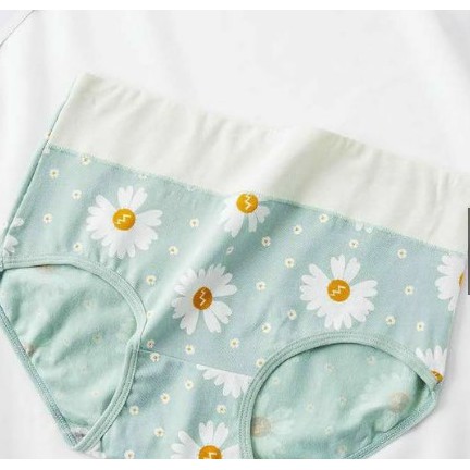 QUẦN LÓT- COTTON GEN NHẸ CẠP CAO thoáng mát 6108 - CHILLHOUSE