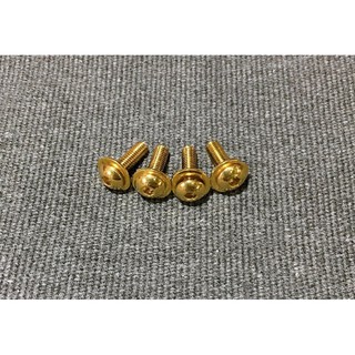 Chắn gió ( Mão ) Winner X kèm ốc