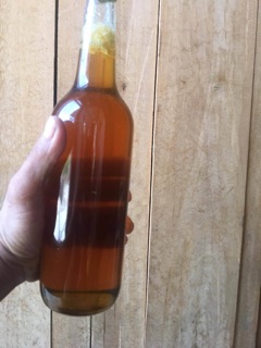 Mật ong rừng già nguyên chất
