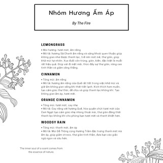 Nến thơm Classic - ADORA