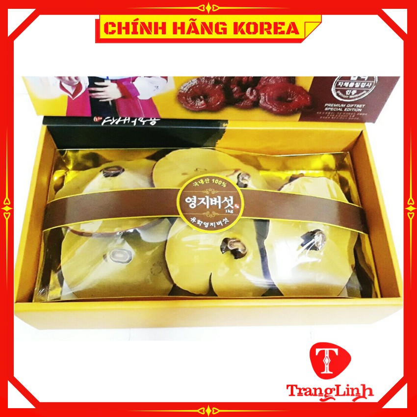 Nấm linh chi hàn quốc chính hãng - Nấm hộp cô gái 1kg giúp thải độc gan, thanh lọc cơ thể - tranglinhkorea