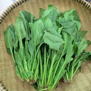 hạt giống cải bó xôi