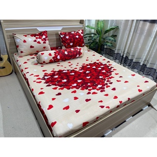 Bộ drap thun Hàn Quốc