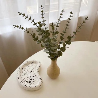 Lá cây bạch đàn decor trang trí.