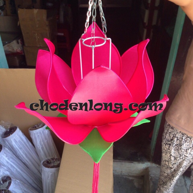 Đèn hoa sen Hội An treo
