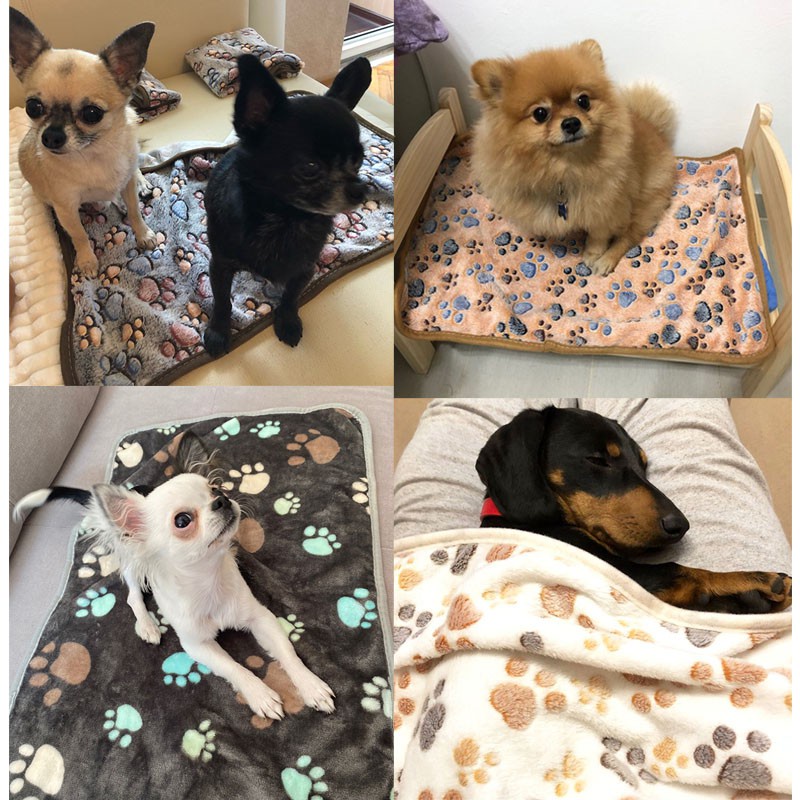 Chăn nhung san hô mềm mại êm ái dành cho thú cưng size M