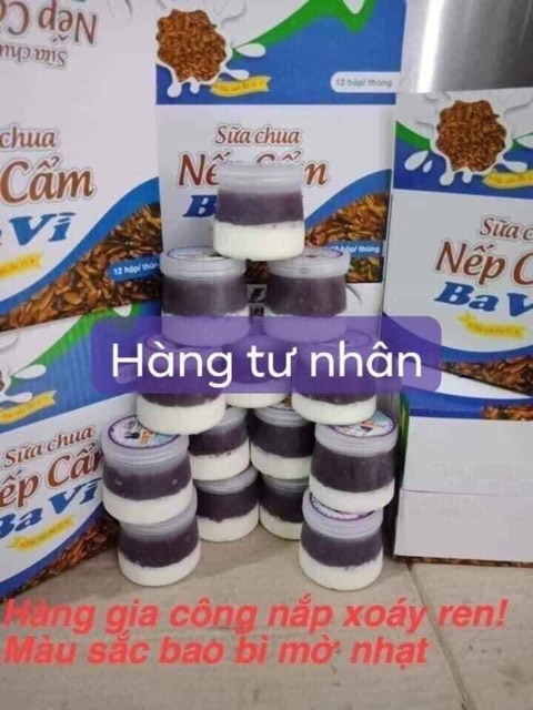 Sữa chua Ba Vì 12 hộp/thùng các vị: Phomai, Trắng, Nha Đam, Nếp Cẩm