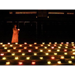 NẾN TEALIGHT