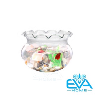 Hồ Cá Bể Cá Thuỷ Tinh Miệng Bèo Dáng Thấp B5 8 x 7  Cm Tặng Kèm Sỏi Và Rong Trang Trí