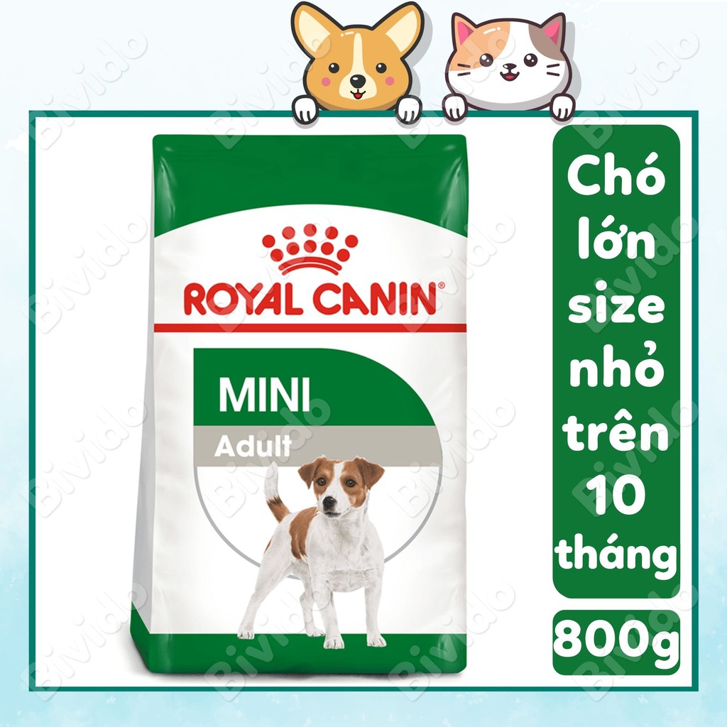 Thức ăn Royal Canin Mini Adult chó giống nhỏ trên 10 tháng túi 800g - Bivido