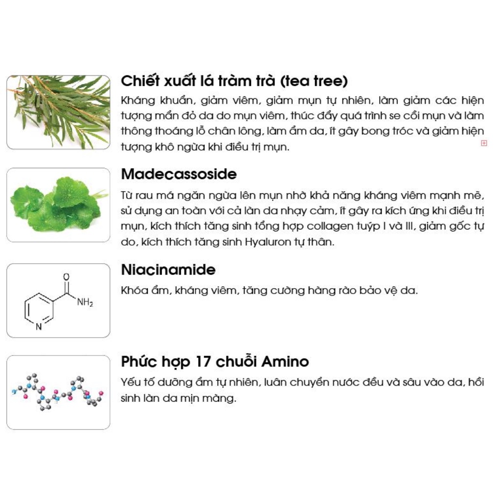 Tinh chất serum giảm mụn, ngừa mụn KYUNG LAB ACNES CENTELLA ASIATICA AMPOULE 50ml