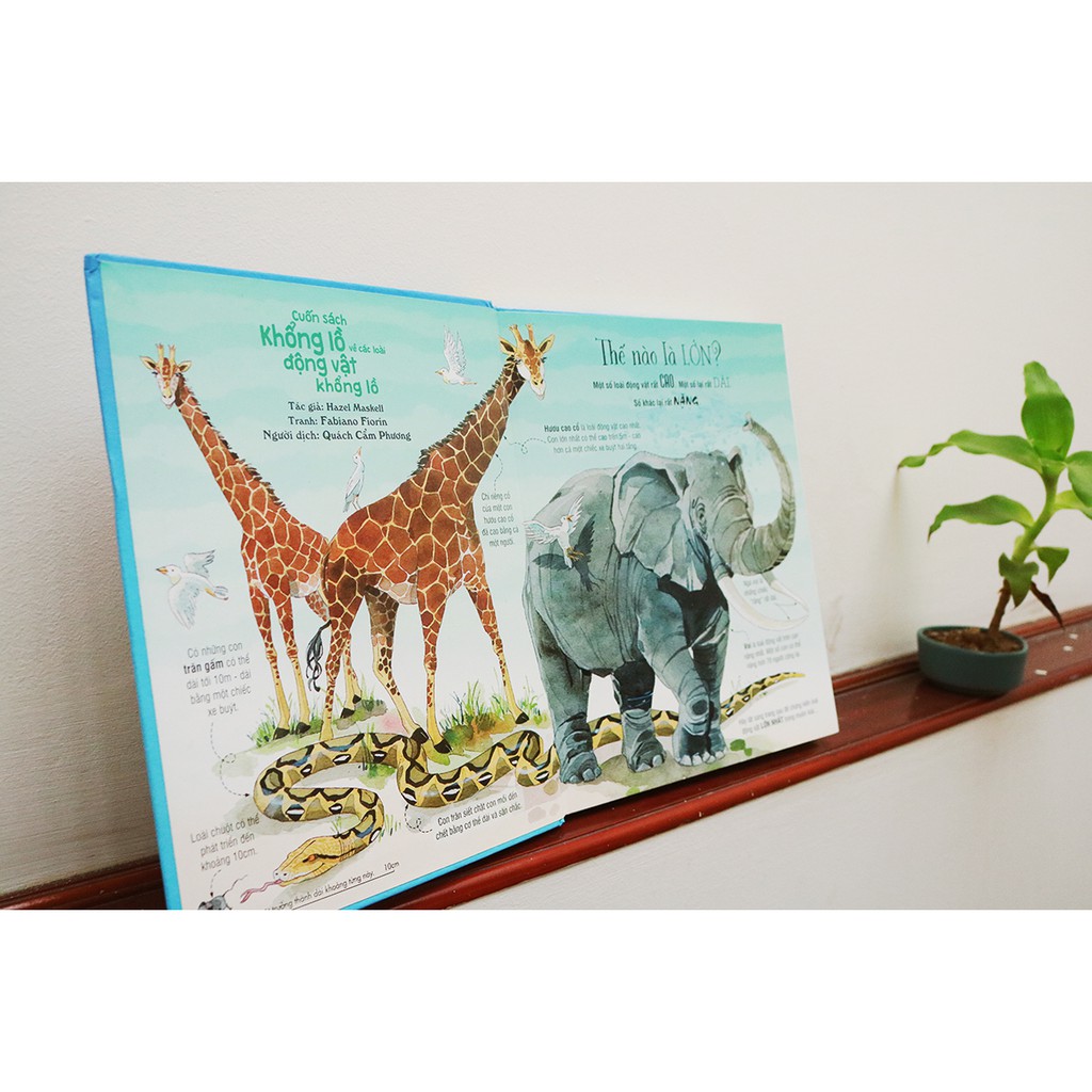 Sách - Big Book Of Big Animals - Cuốn Sách Khổng Lồ Về Các Loài Động Vật Khổng Lồ