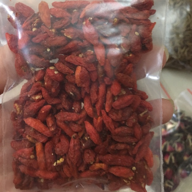 Kỉ tử đỏ hamster
