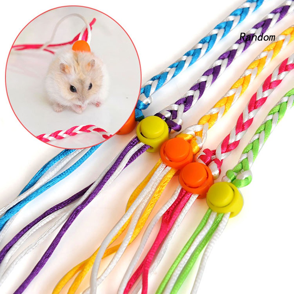 Dây Đeo Cổ Cho Chuột Hamster 1.4 / 2m