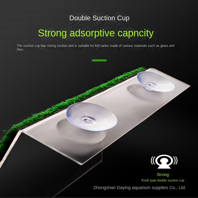 Mới Thang Khô Thoáng Cho Rùa Leo Trèo / Đế Xuồng Khô Mức Nước