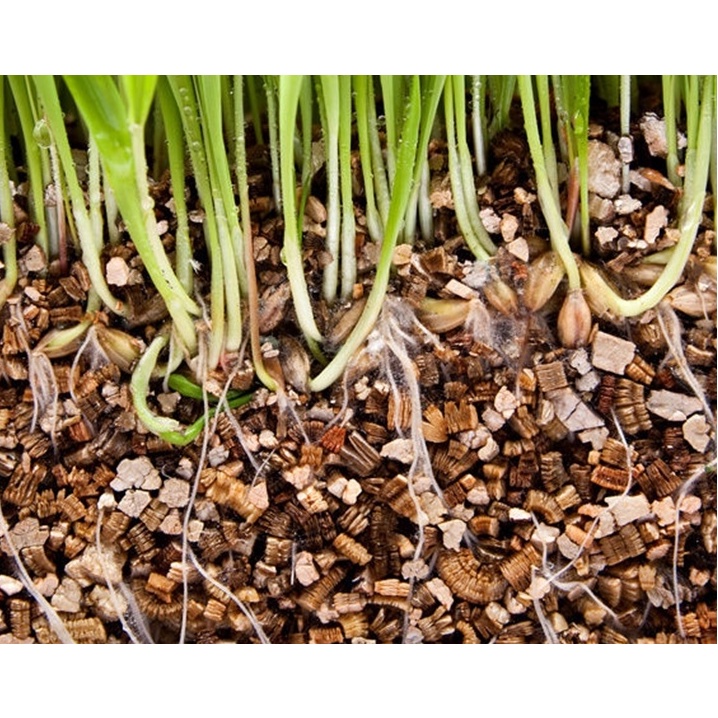 Đá Vermiculite Namix  chuyên dùng để trồng xương rồng, sen đá, cây bonsai, cây kiểng…