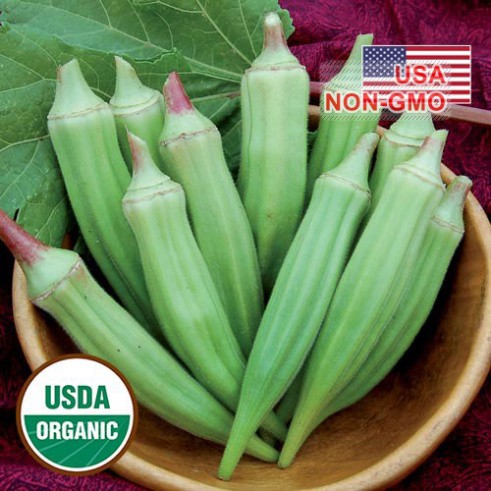 Hạt Giống Đậu Bắp Lùn Cao Sản Clemson [Gói 5g]