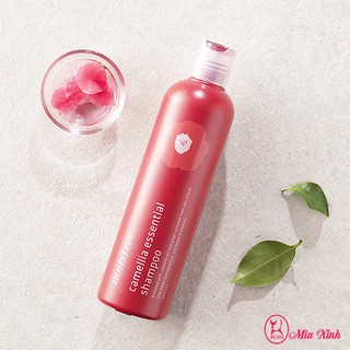 Dầu Gội Innisfree Camellia Essential Shampoo